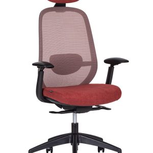 SPIRIT EXPRESS RESPALDO ALTO